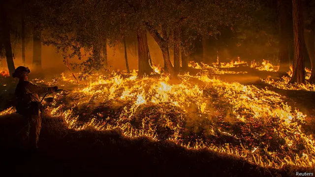 加州森林野火
