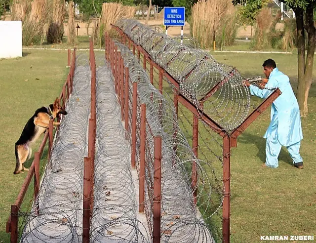 नियंत्रण रेखा पर घुसपैठ रोकने के लिए खास तौर पर प्रशिक्षित किए गए कुत्ते