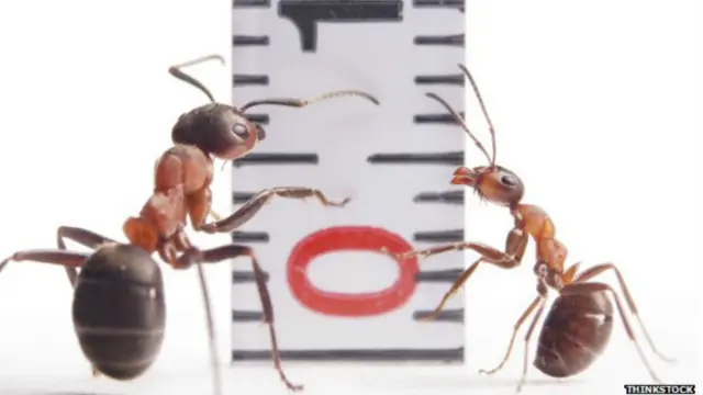 थिंकस्टॉक इमेज