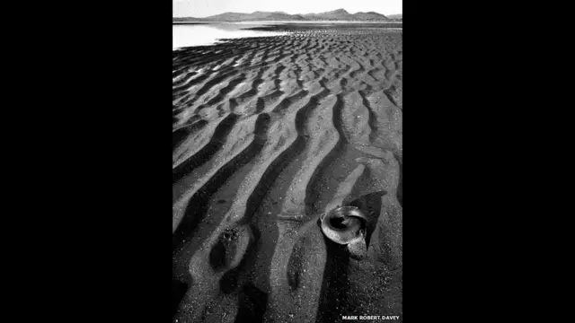 Марк Роберт Дейві