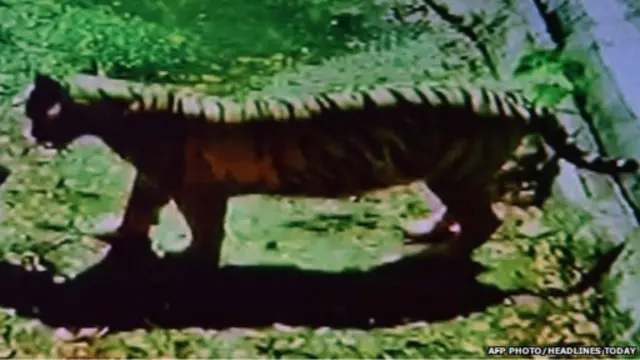 د تلوېزیون په انځورونو کې ښودل کېږي چې دغه هلک د یوه دېوال تر شا پروت او پړانګ یې څنګ ته ولاړ دی.