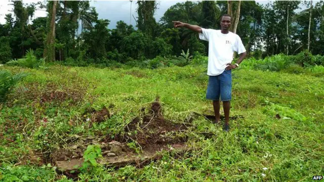 Desmatamento na Libéria (AFP)