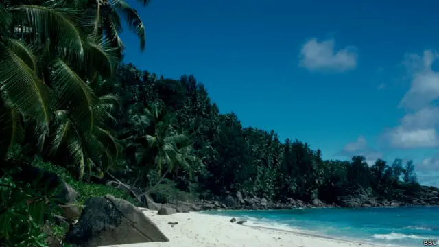 Playa (foto archivo)