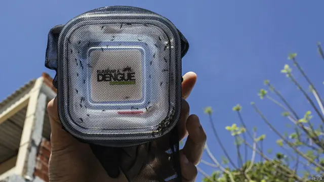 Caja plástica con mosquitos