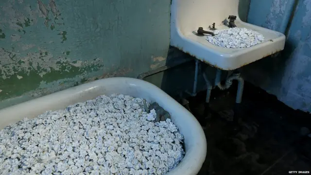 艾未未惡魔島藝術展展品「Blossom」（24/9/2014）