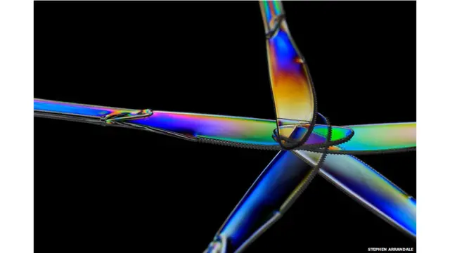 Світло, фото читачів ВВС