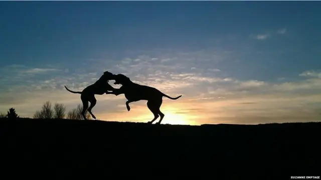 Світло, фото читачів ВВС