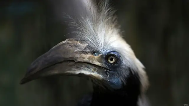 थाईलैंड, चिड़ियाघर