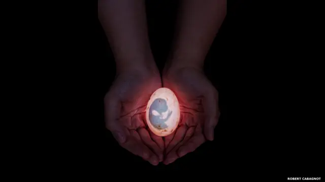 Finalistas do prêmio de fotografia da Sociedade de Biologia britânica