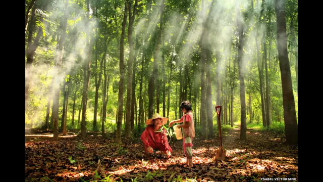 Finalistas do prêmio de fotografia da Sociedade de Biologia britânica