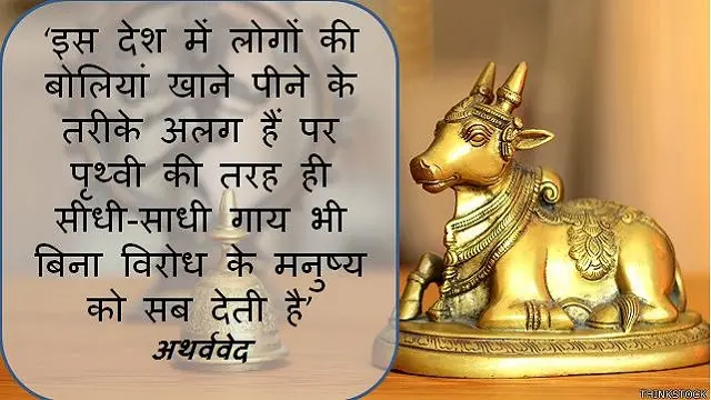 हिंदू धर्म मे गाय का महत्व