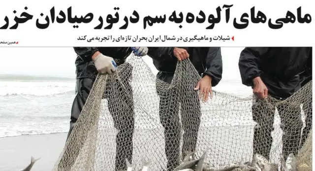 تیتر و عکس حسین نیکپور، شهروند