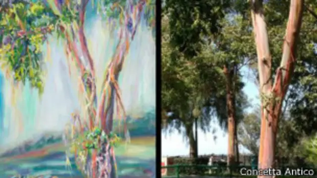 тетрахроматизм