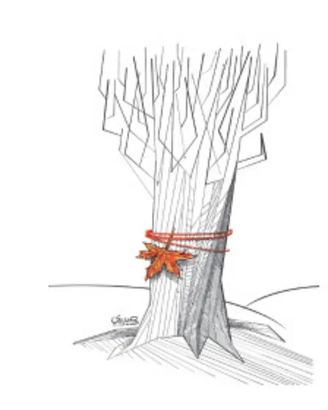 کارتون هادی حیدری، شهروند