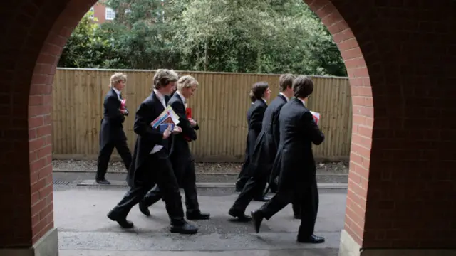 哈曼表示，很多大学依赖于私校提供在科学、医学、语言等方面的人才。