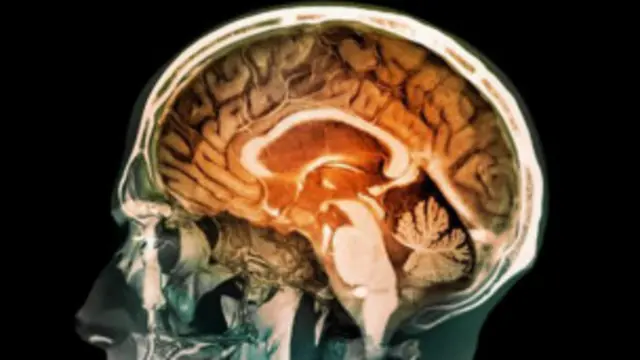 زموږ په مغزونو کې توپیر زموږ د بدن په شان د مور په بطن کې شکل اخلي