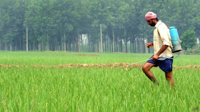 کھیتی باڑی میں بڑھتی ہوئی لاگت اور زرعی مصنوعات کی گرتی قیمتیں کسانوں کی مایوسی کی سب سے بڑی وجہ ہے۔