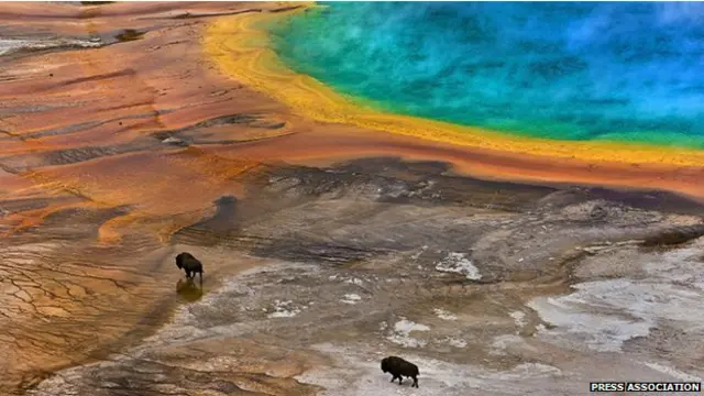 Yellowstone