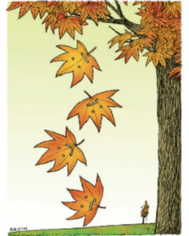 کارتون آروین، اعتماد