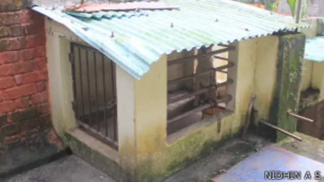 केरल, कुत्ताघर