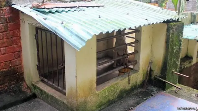 بچے کے والدین کے مطابق کتے کو باہر نکال کر ان کے بیٹے کو پنجرے میں بند کر دیا گیا