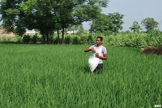 भारत में खेती और कीटनाशकों का इस्तेमाल