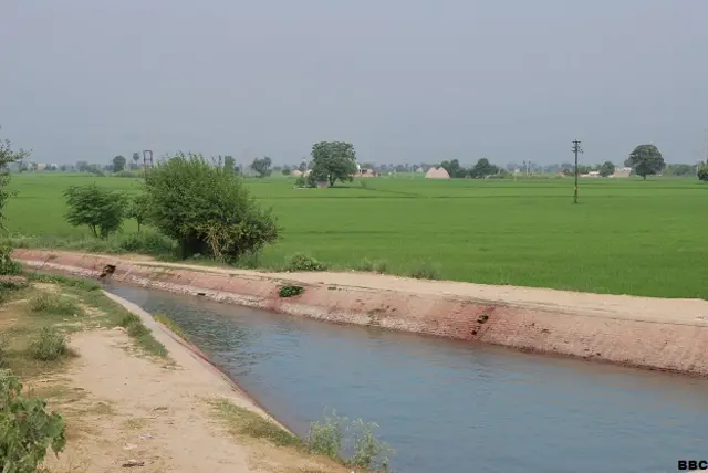 भारत में खेती और कीटनाशकों का इस्तेमाल