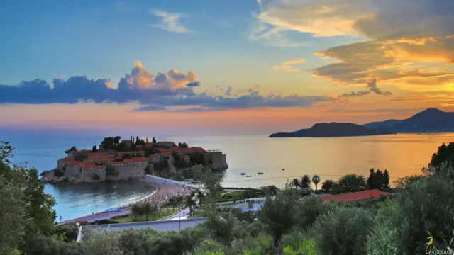 Фото: Брук Давид