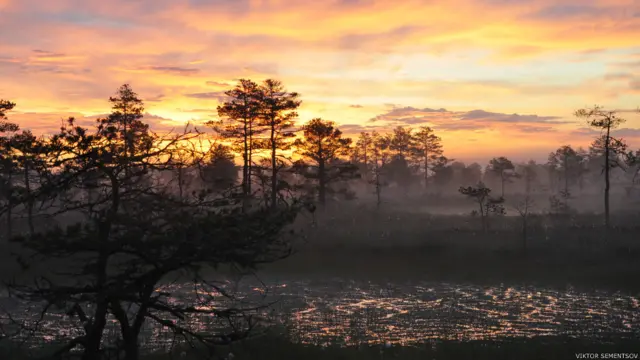 Фото: Виктор Семенцов