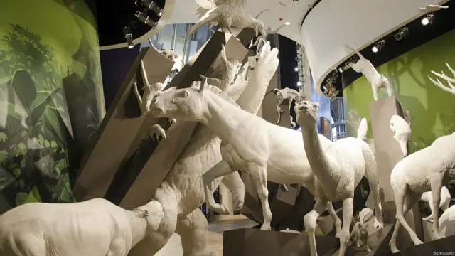 Galería El gran intercambio