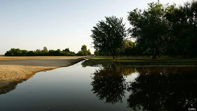 Campo en el condado de Kern