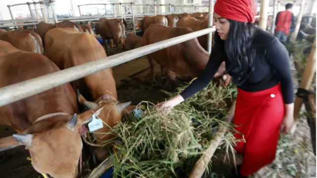 Penjual kurban di Depok