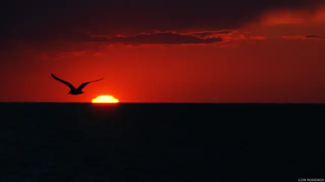 Фото: Илья Родионов