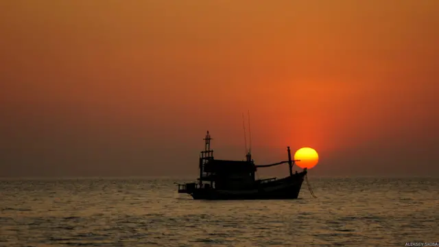 Фото: Алексей Скиба