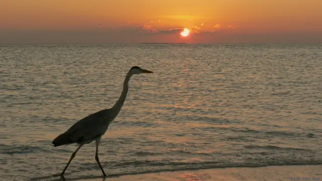 Фото: Виктор Прохоров