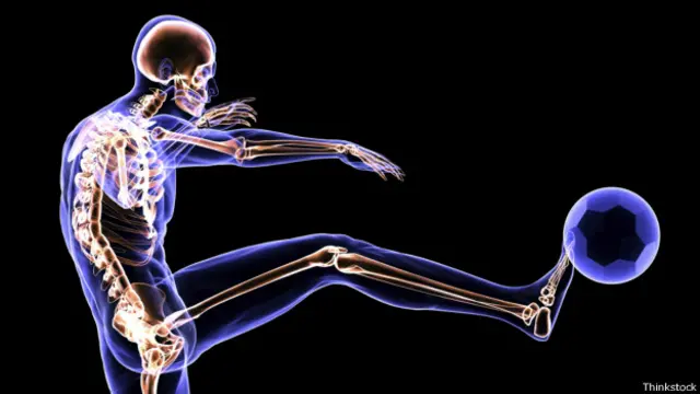 Экзоскелет