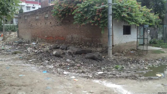 पटना, स्वच्छ भारत अभियान के बाद 