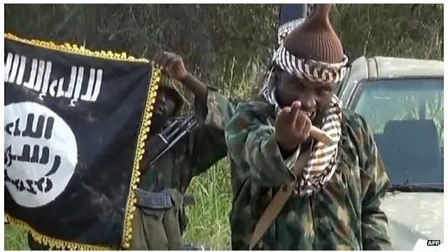 بوکوحرام گروپ سنہ 2009 سے نائجیریا میں اسلامی ریاست کے قیام کے لیے برسرِ پیکار ہے