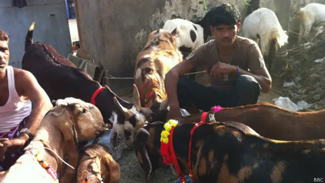 बकरा मंडी दिल्ली