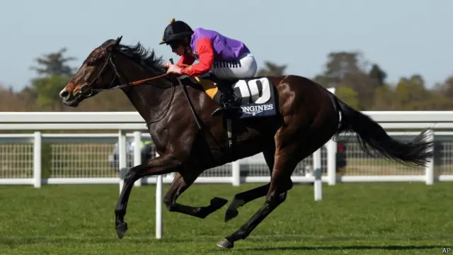 Caballo corriendo una carrera