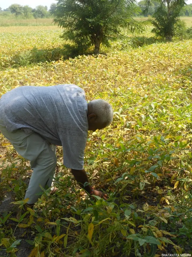 देवास का एक किसान