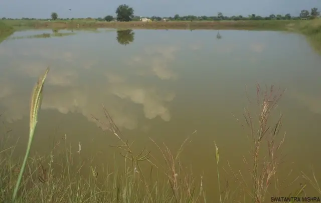 मध्य प्रदेश के देवास का एक तालाब