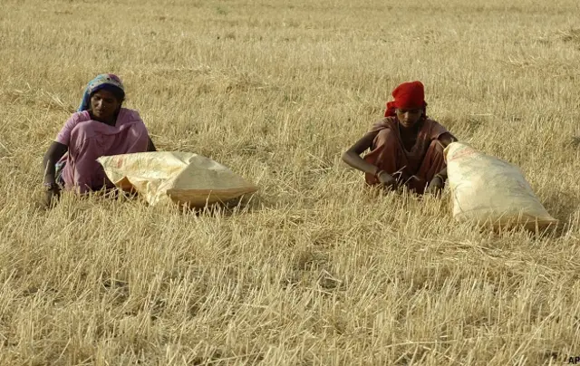 भारत में खेती