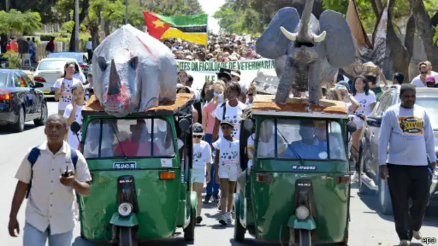 非洲国家莫桑比克也举行保护大象和犀牛的游行