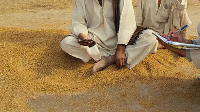 عشر او زکات دیني بنسټ لري، د ځانګړو شرطونو د پوره کېدو په حال کې مسلمانان اړ دي چې د خپلو کرنیزو حاصلاتو لسمه برخه حکومت ته ورکړي