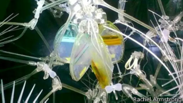 Могут ли структуры, подобные этой, стать украшением в космических кораблях будущего?