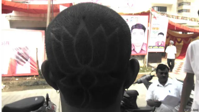 हरियाणा चुनाव, भाजपा समर्थक