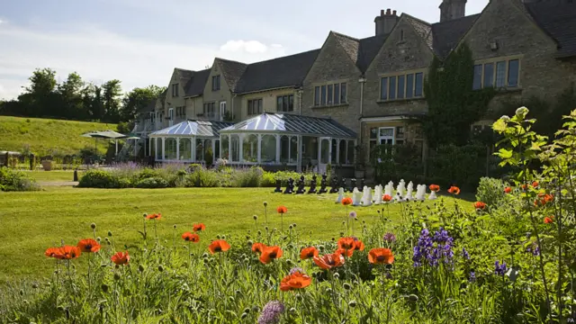 'द पियर ट्री'