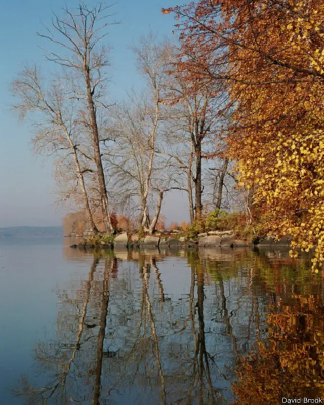"У нас осень уже скоро кончается. Ждём зиму," - комментирует свою фотографию Давид Брук из Екатеринбурга