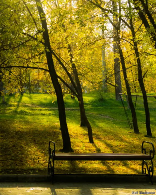 Осенний парк